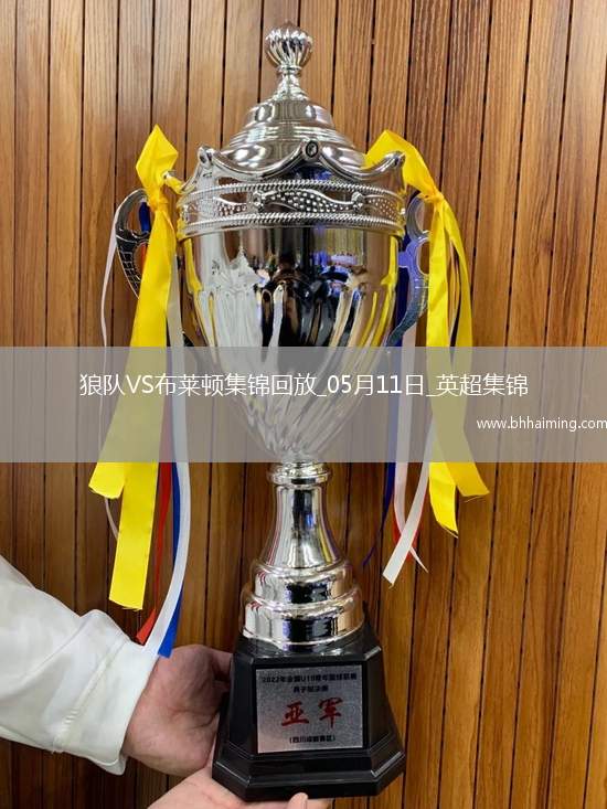 英超-維爾貝克破門布萊頓客場2-0勝狼隊