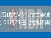 歐洲杯小組賽E組第2輪斯洛伐克vs烏克蘭進球視頻