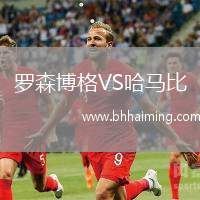 羅森博格VS哈馬比