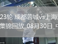 中超第23輪成都蓉城vs上海海港進球視頻