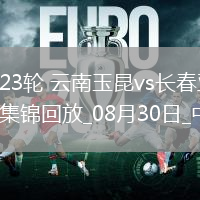 中超第23輪云南玉昆vs長春亞泰進球視頻