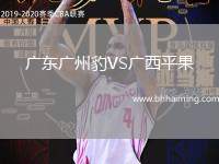 廣東廣州豹VS廣西平果
