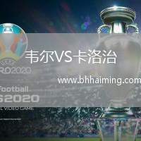 韋爾VS卡洛治