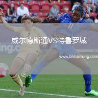 威爾德斯通VS特魯羅城