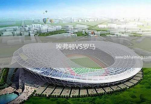 埃弗頓VS羅馬