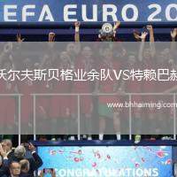 沃爾夫斯貝格業余隊VS特賴巴赫