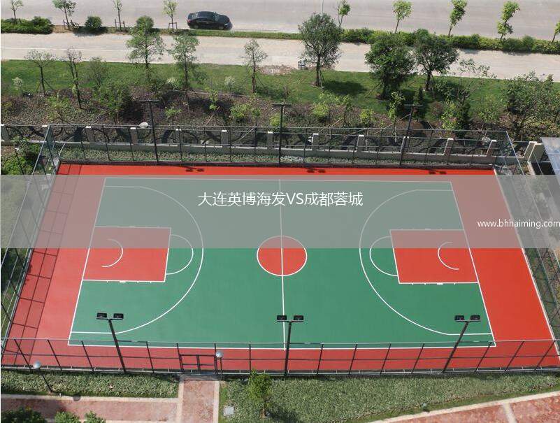 大連英博海發VS成都蓉城