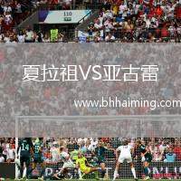 夏拉祖VS亞古雷