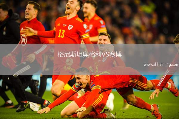 格尼斯坦奧格利VS賽博