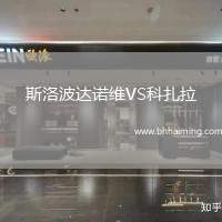 斯洛波達諾維VS科扎拉