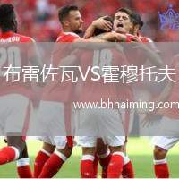 布雷佐瓦VS霍穆托夫