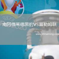 南阿德萊德黑豹VS富勒姆聯