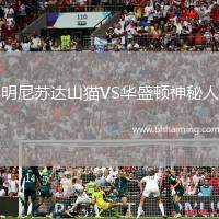 明尼蘇達山貓VS華盛頓神秘人