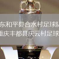 廣東和平縣合水村足球隊VS重慶豐都縣慶云村足球隊