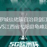 廣西羅城仫佬族自治縣劍江村足球隊VS江西省弋陽縣龜峰足球隊
