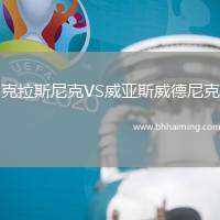 克拉斯尼克VS威亞斯威德尼克