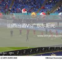 山西汾酒VS廣東東陽光