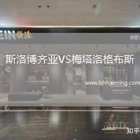 斯洛博齊亞VS梅塔洛格布斯