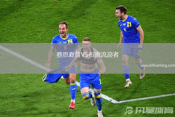 費(fèi)恩夏普VS布雷流浪者