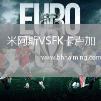 米阿斯VSFK卡盧加