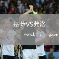 基薩VS弗洛