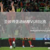 圣彼得堡迪納摩VS利比克