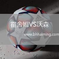 霍舍姆VS沃森
