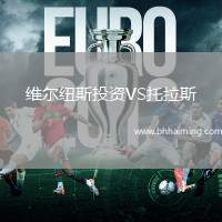 維爾紐斯投資VS托拉斯