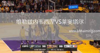 維勒茲內韋西涅VS萊奧塔爾