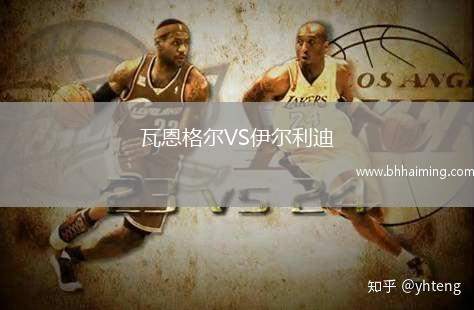 瓦恩格爾VS伊爾利迪