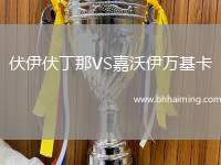 伏伊伏丁那VS嘉沃伊萬基卡