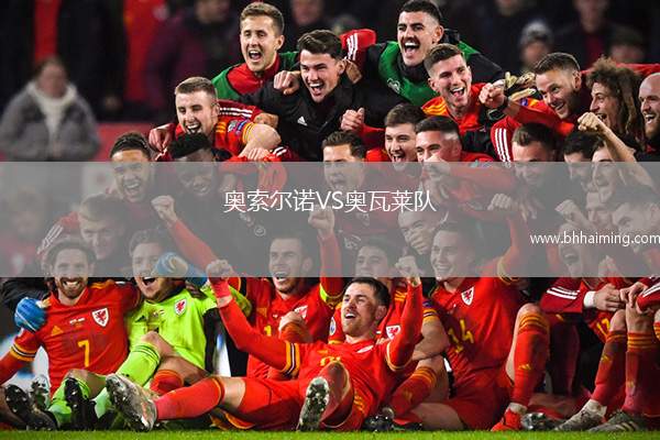 奧索爾諾VS奧瓦萊隊