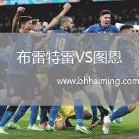 布雷特雷VS圖恩