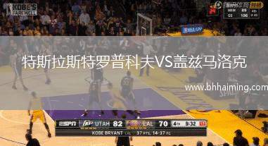特斯拉斯特羅普科夫VS蓋茲馬洛克