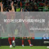 帕爾杜比斯VS俄斯特拉發