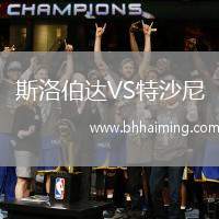 斯洛伯達VS特沙尼