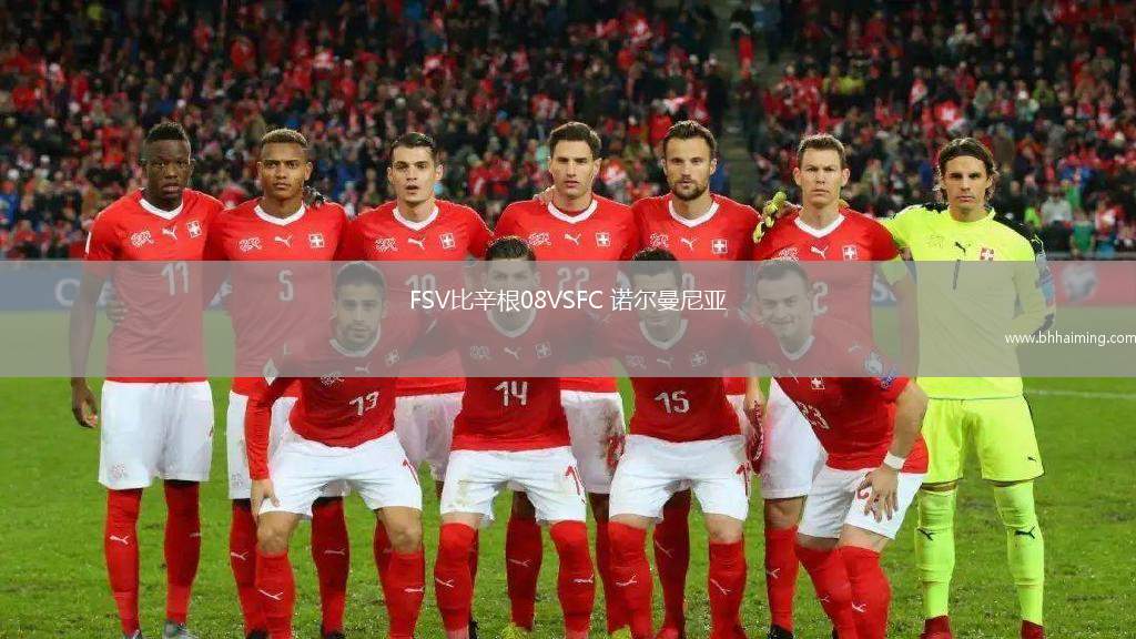 FSV比辛根08VSFC 諾爾曼尼亞