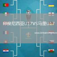 印度尼西亞U17VS馬里U17
