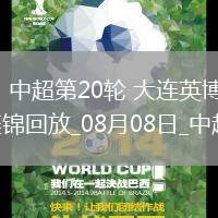 08月08日中超第20輪大連英博vs成都蓉城片段