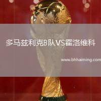 多馬茲利克B隊VS霍洛維科