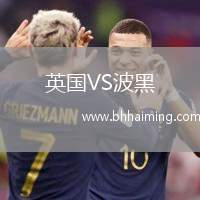 英國VS波黑
