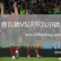 費瓦德VS沃爾瓦爾德