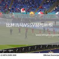 比林古馬VSSV赫梅林根
