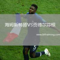 海姆斯特滕VS貢德爾芬根