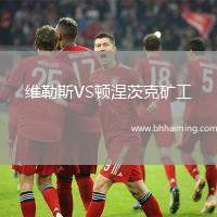 維勒斯VS頓涅茨克礦工