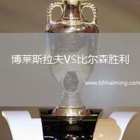 博萊斯拉夫VS比爾森勝利