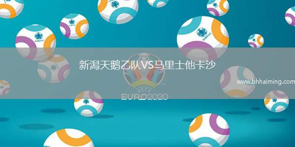 新潟天鵝乙隊VS馬里士他卡沙