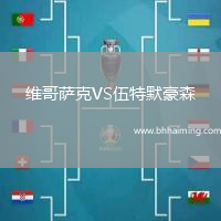 維哥薩克VS伍特默豪森