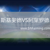 斯基奧德VS阿萊羅德