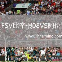 FSV比辛根08VS阿倫